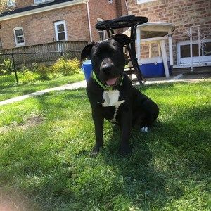 Meet your Posher, Briana